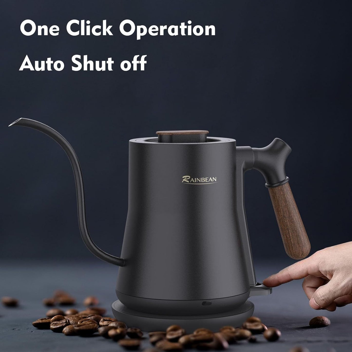 Gooseneck Electric Kettle